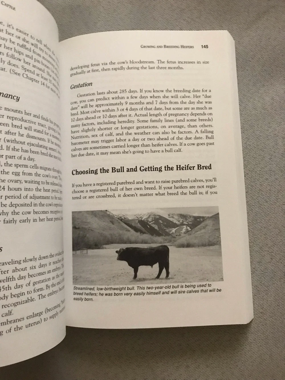 N/A storey’s guide